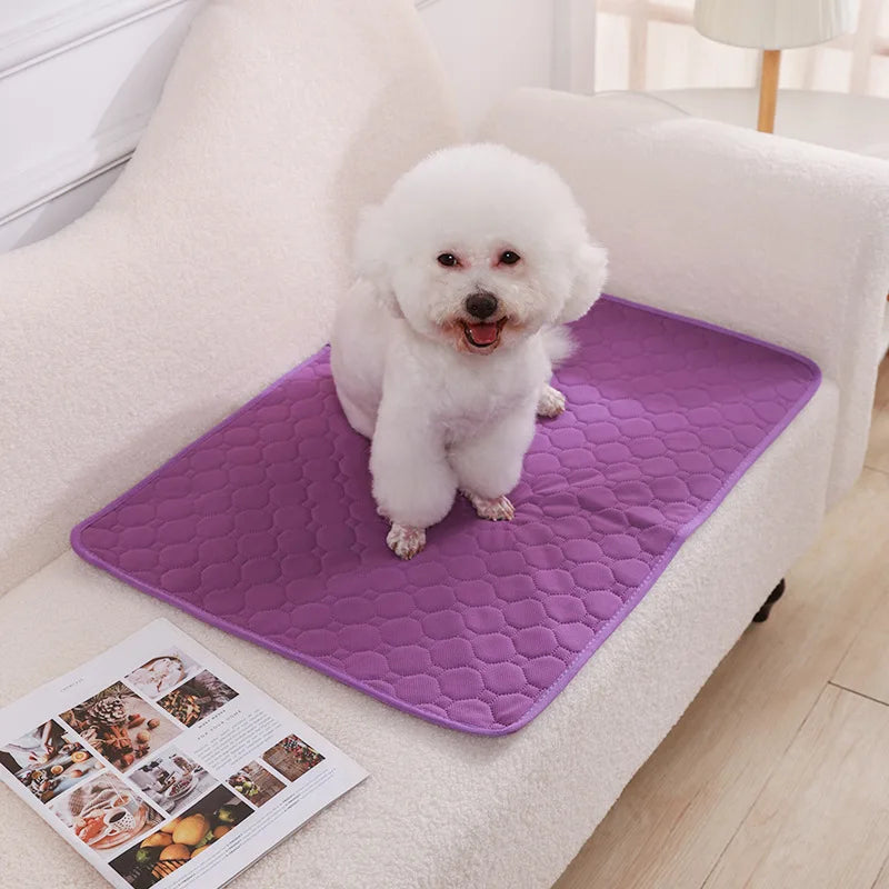 Sustainable Pee Pad