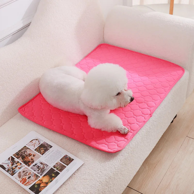 Sustainable Pee Pad