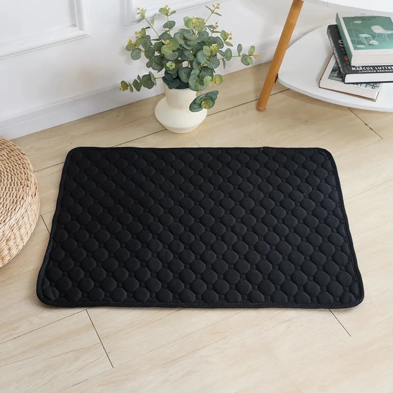 Sustainable Pee Pad
