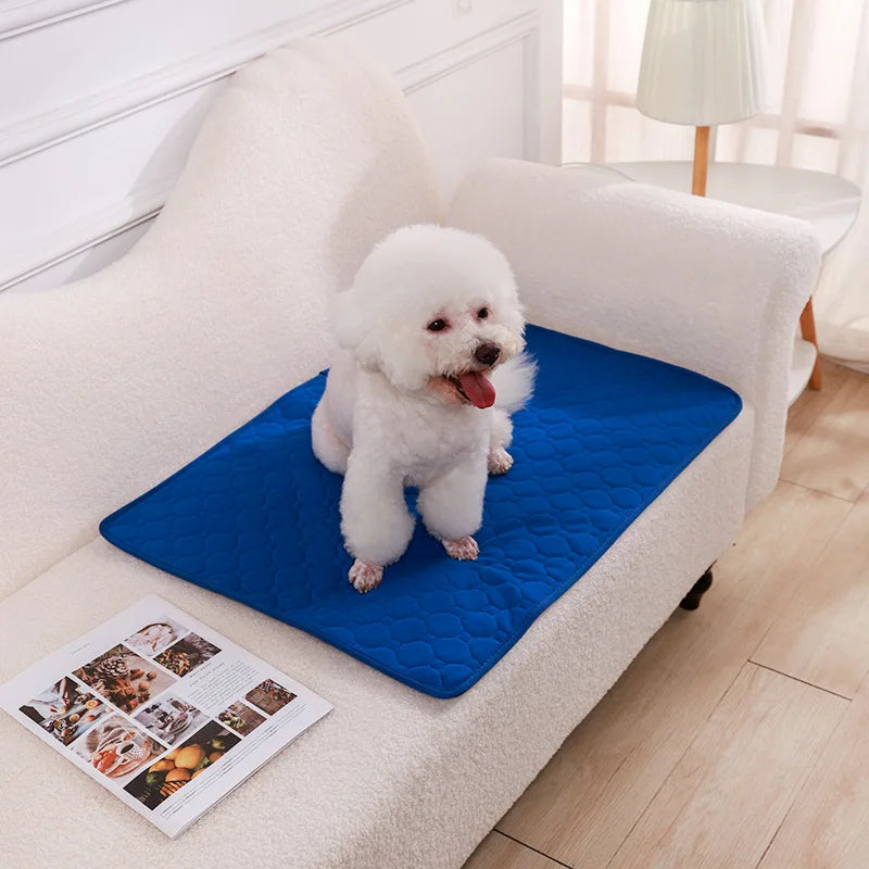 Sustainable Pee Pad